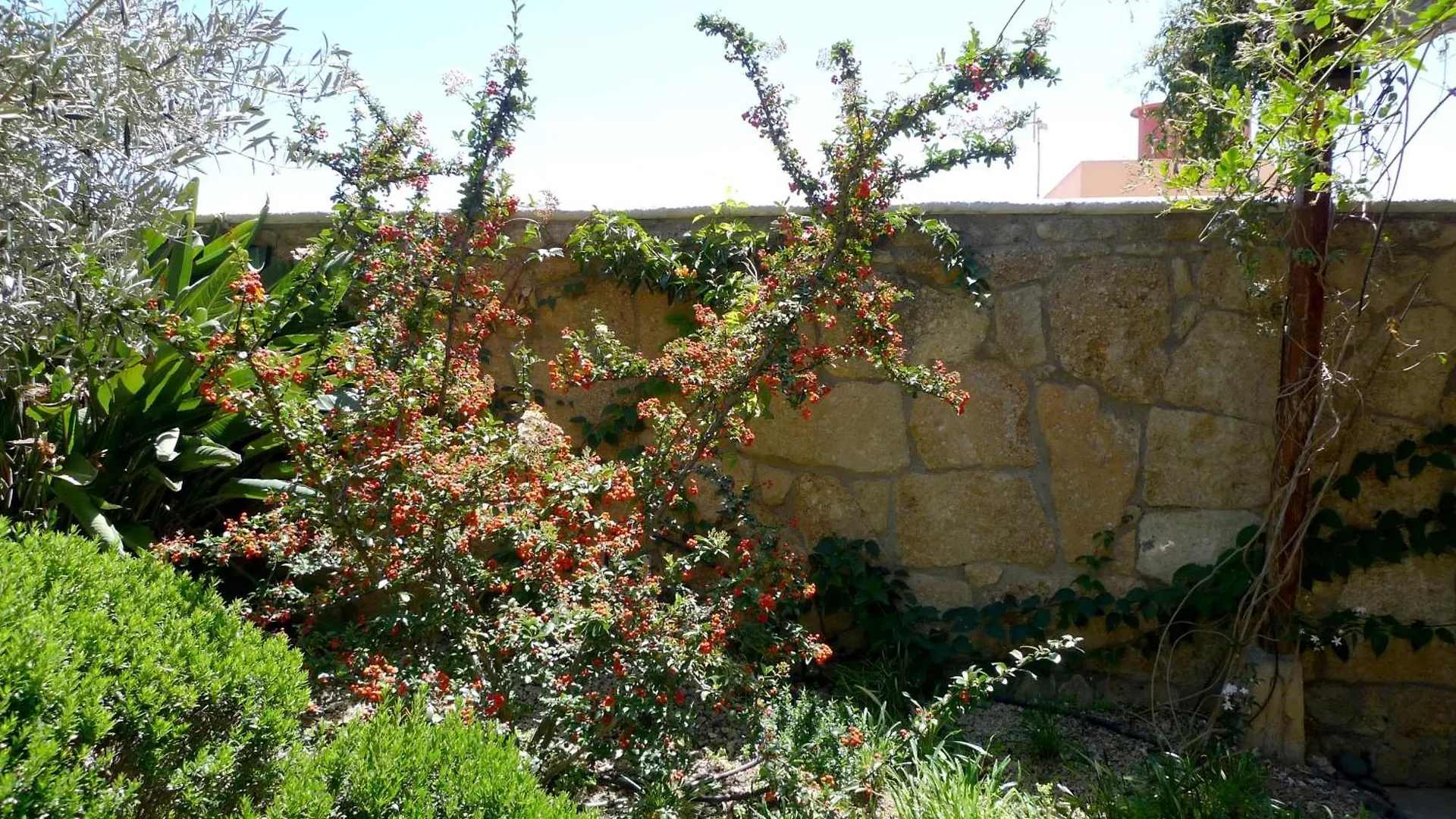 Hotel Rural San Miguel - Only Adults San Miguel de Abona Spain
