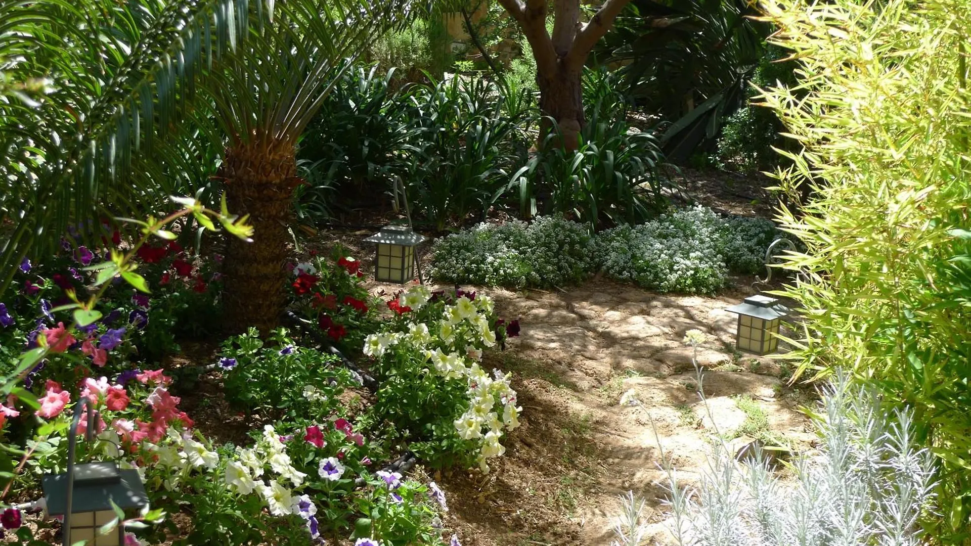 Hotel Rural San Miguel - Only Adults San Miguel de Abona 4*,  Spain